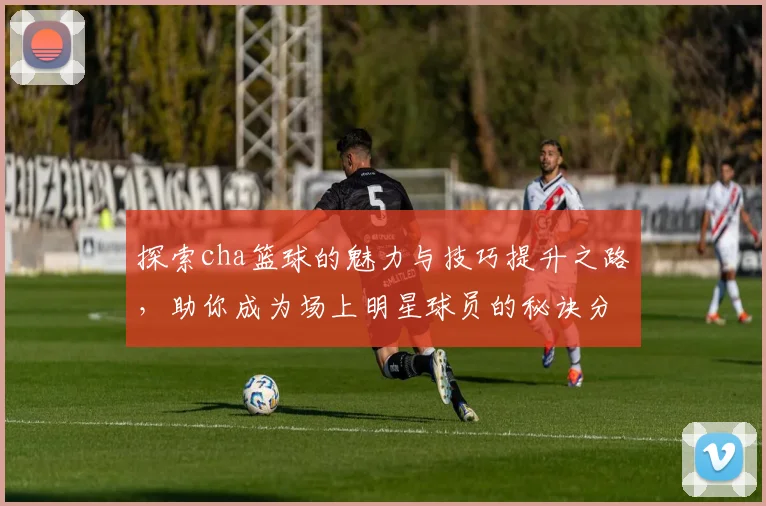 探索cha篮球的魅力与技巧提升之路，助你成为场上明星球员的秘诀分享