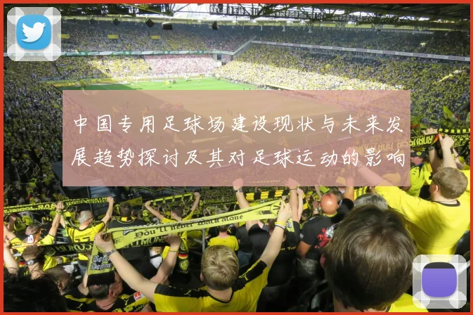中国专用足球场建设现状与未来发展趋势探讨及其对足球运动的影响分析