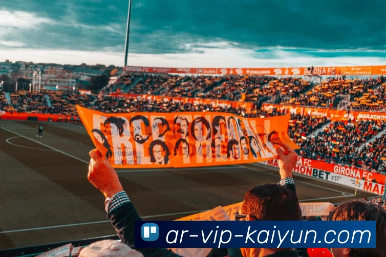 多媒体互动体验